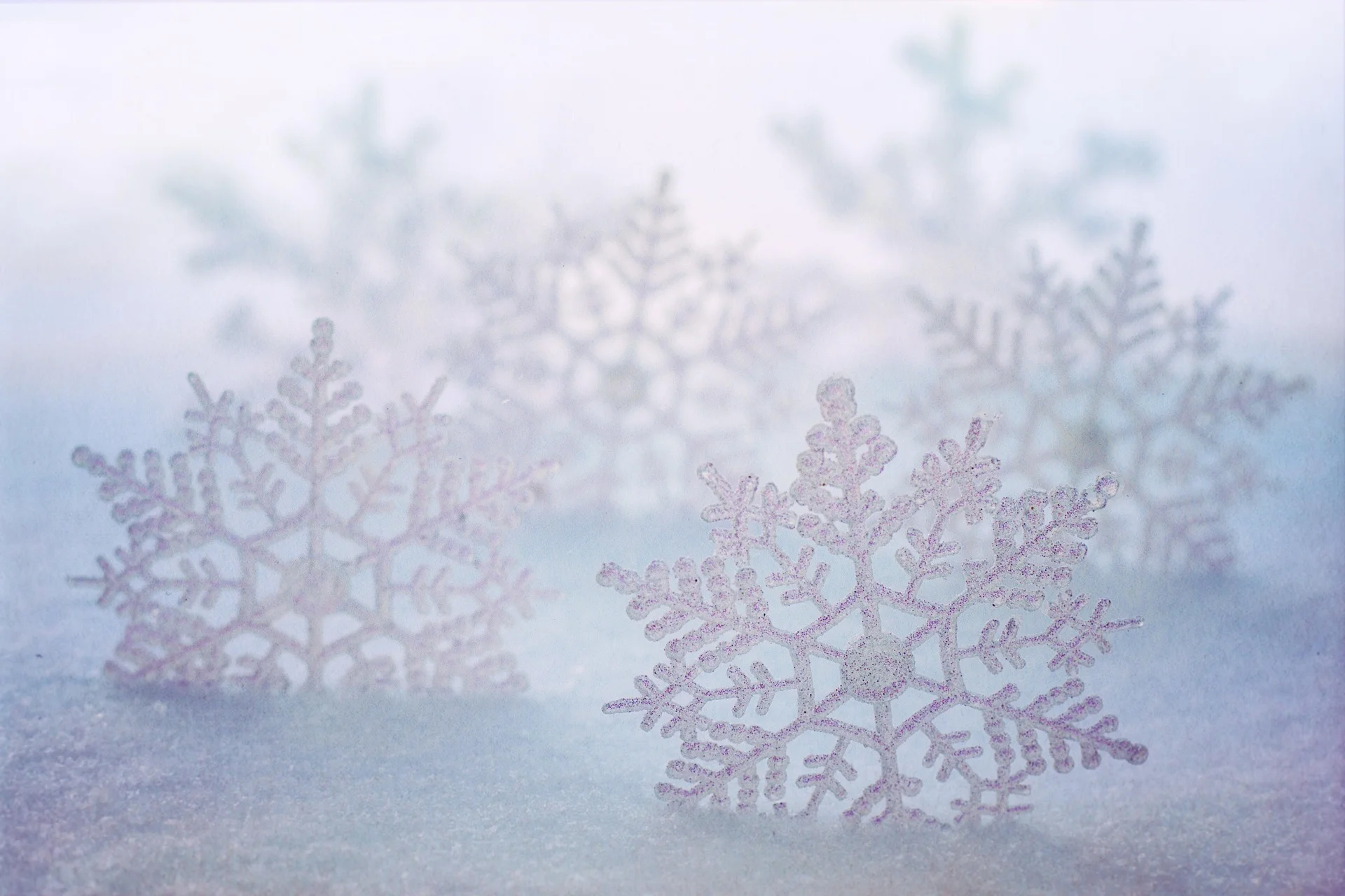 Escapade hivernale