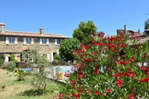 L'Aubier du Tilleul