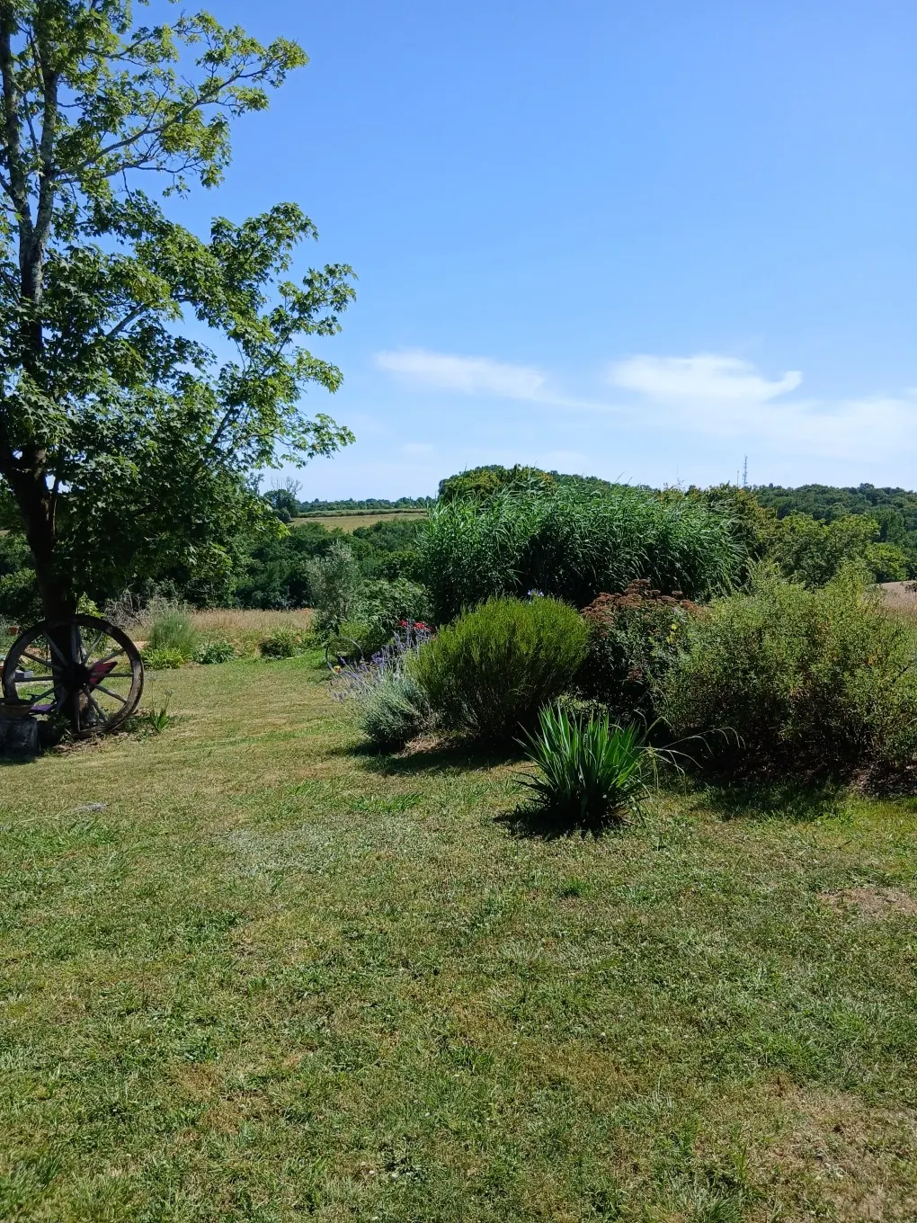 Parenthèse buccolique dans le Béarn