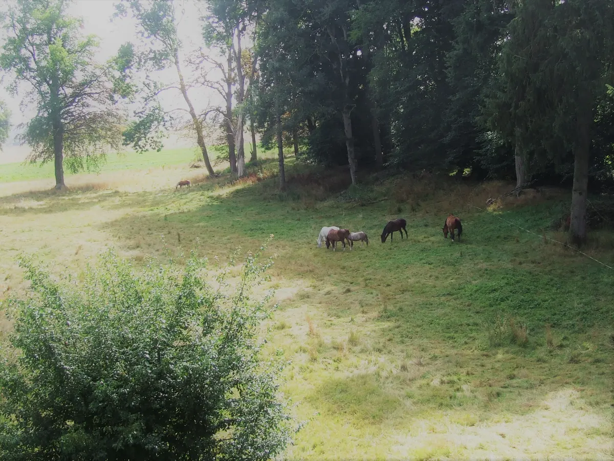 Gite Appartement Le Valvion