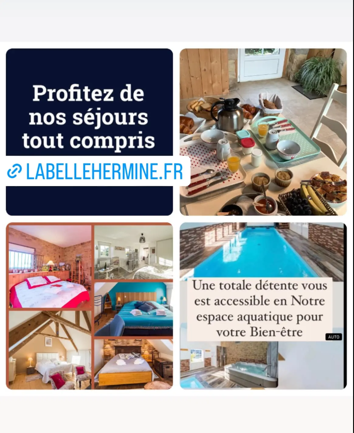 LA BELLE HERMINE